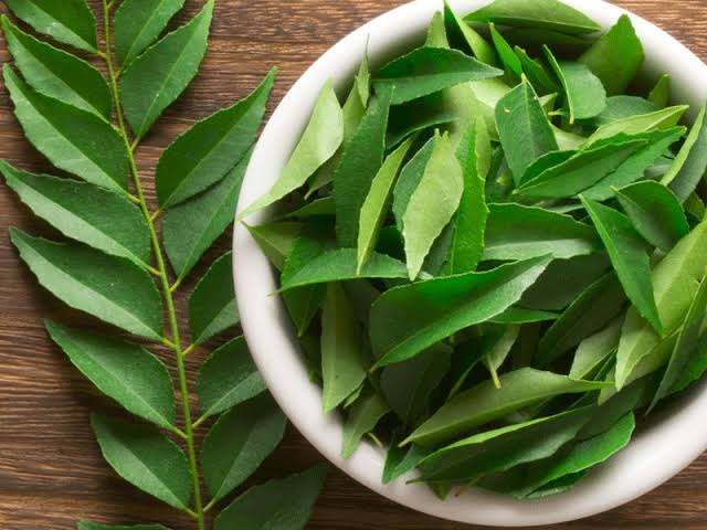 Natural Curry Leaves – Herbal Remedy for Hair & Digestion